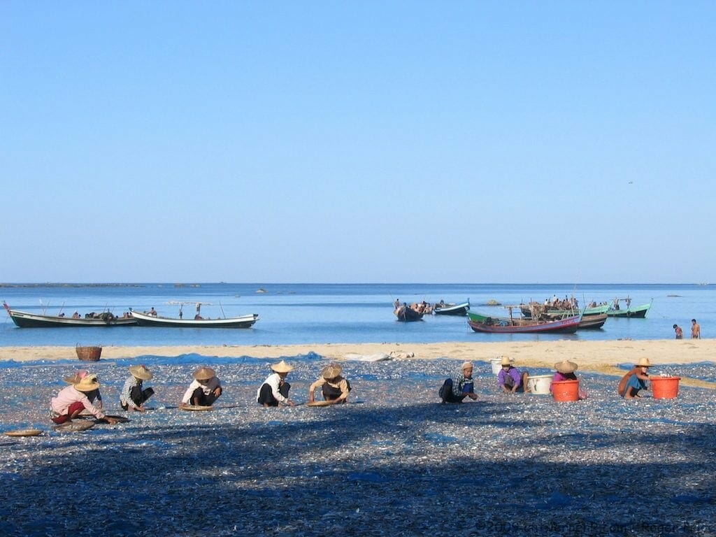 NGAPALI BEACH BREAK