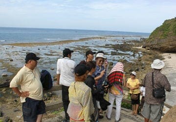 Travel firms offer super cheap tours to lure travelers