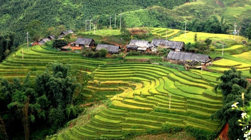 Sapa homestay tour to Thanh Phu and Sin Chai