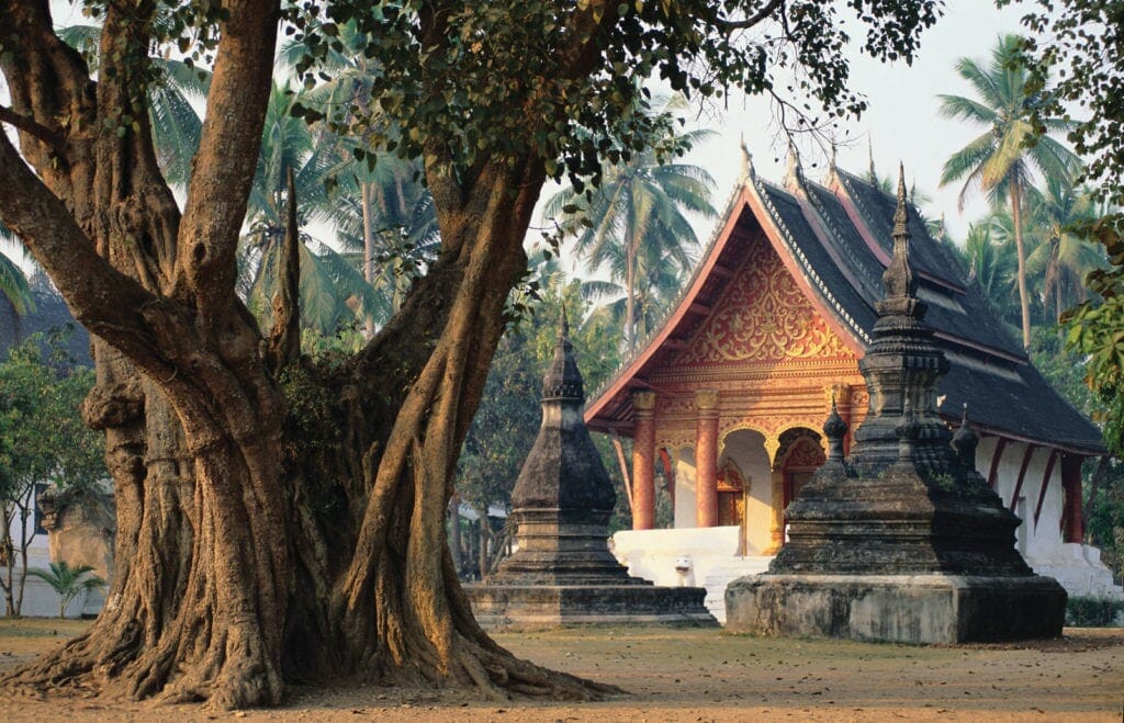 Laos Downstream Cruise Tours from Huay Xai - Pakbeng