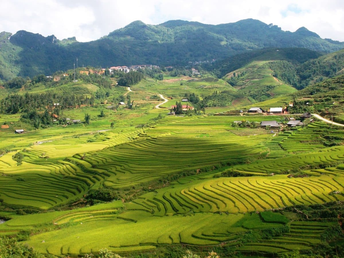 Fascinating Sapa homestay tour to Thanh Phu and Sin Chai