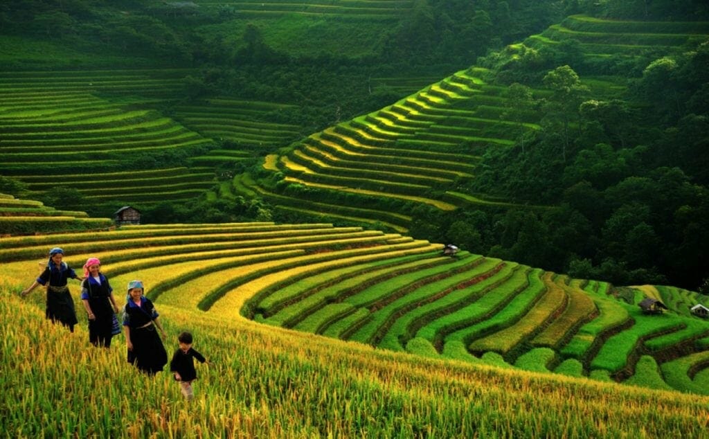 sapa family tours