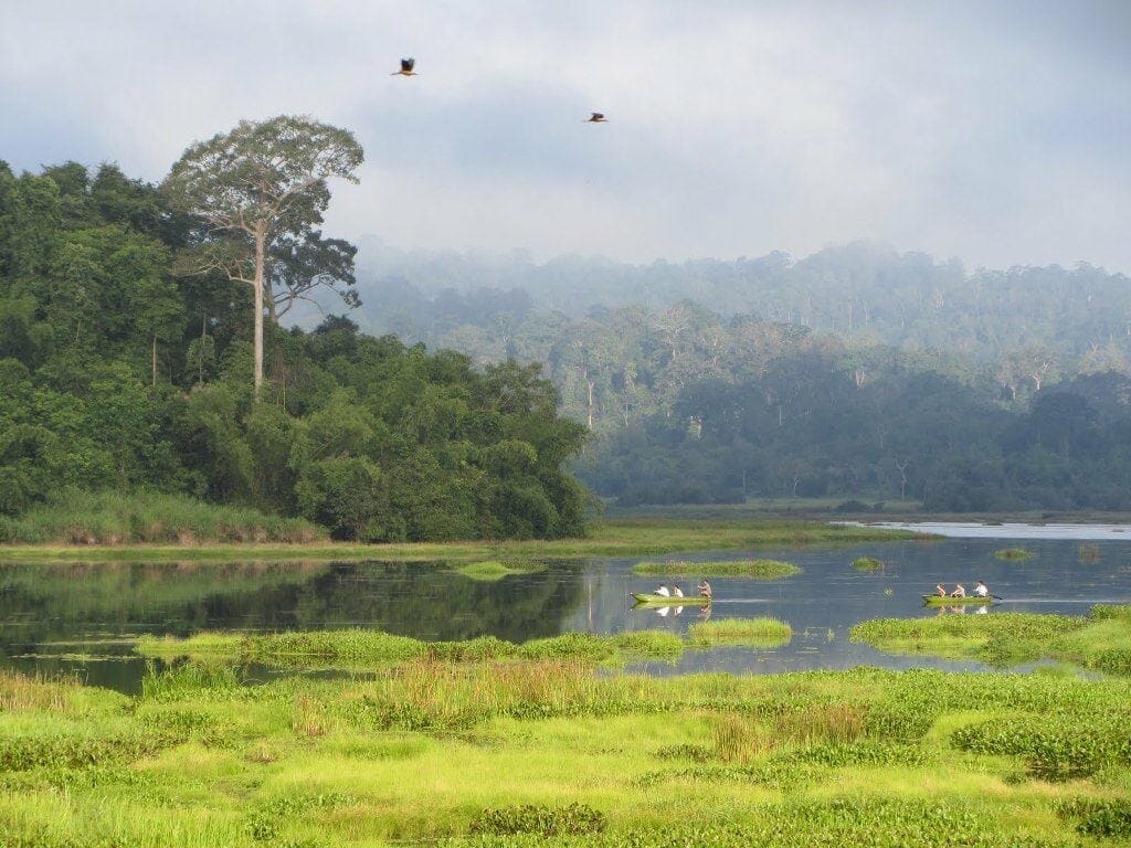 MYSTERIOUS NAM CAT TIEN NATIONAL PARK TOUR