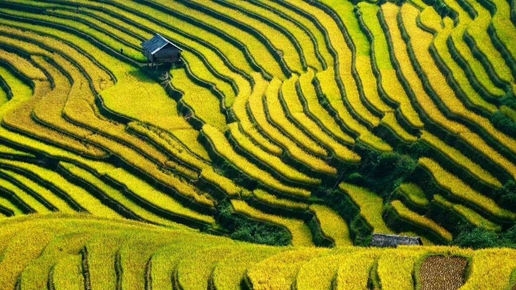 AMAZING VIETNAM NORTHWEST ADVENTURE TOUR WITH HALONG BAY - 12 DAYS AMAZING VIETNAM NORTHWEST ADVENTURE TOUR WITH HALONG BAY - 12 DAYS