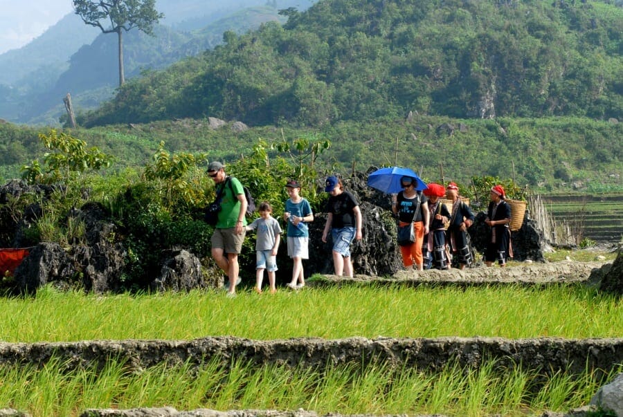 Sapa Adventure Trekking Homestay Tour to Lao Chai, Ta Van, Ban Ho