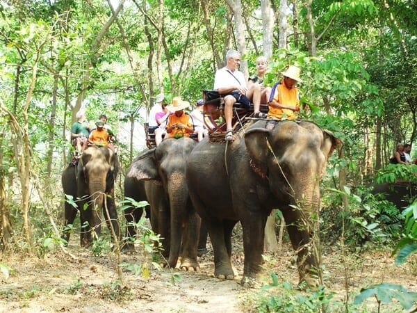 Luang Prabang Elephant Riding Tours, Elephant riding in Luang Prabang