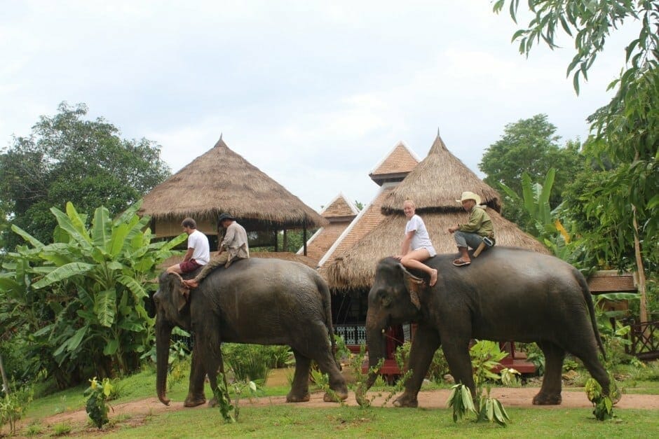 laos elephant tour