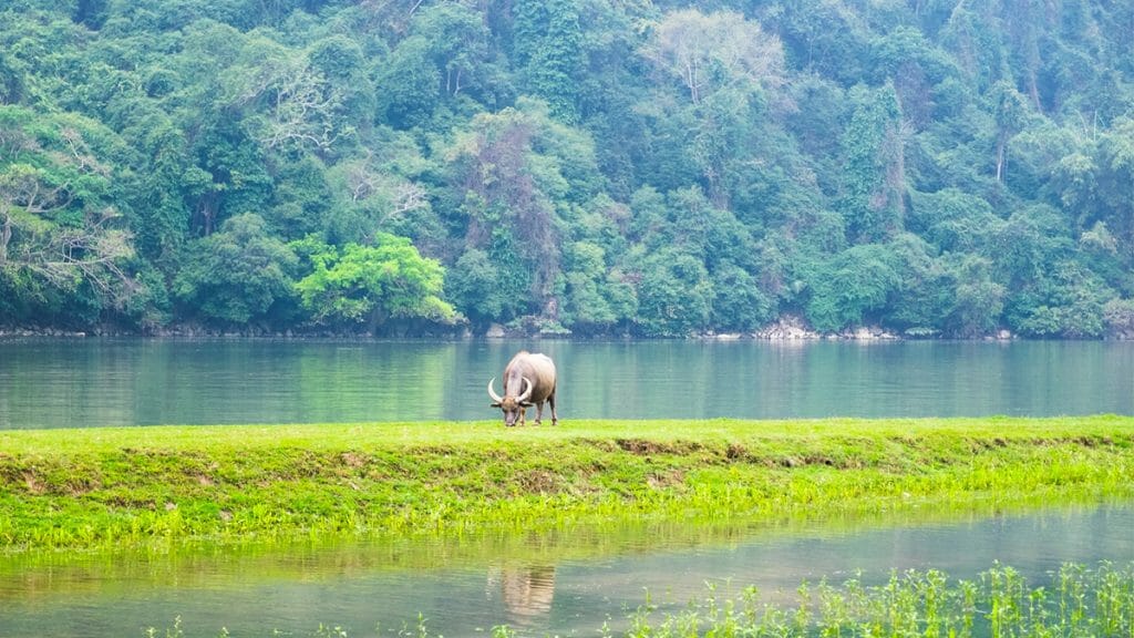 Photography Tour of North Vietnam to Mu Cang Chai, Ha Giang, Ba Be Lake – 10 Days
