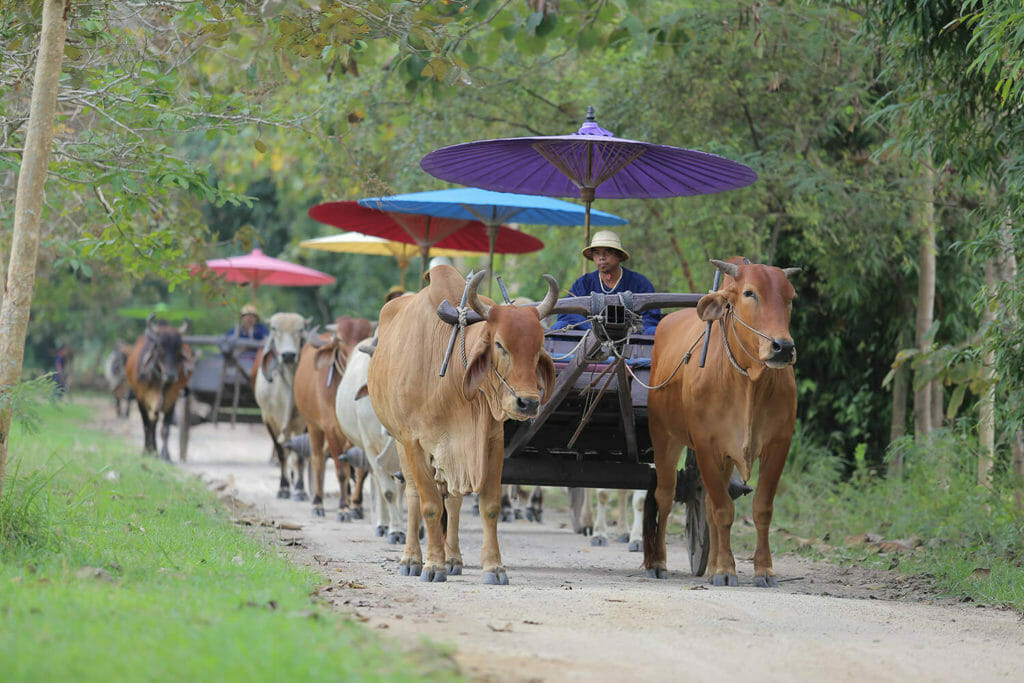 4-Day Upstream Mekong River Cruise from Phnom Penh to Siem Reap